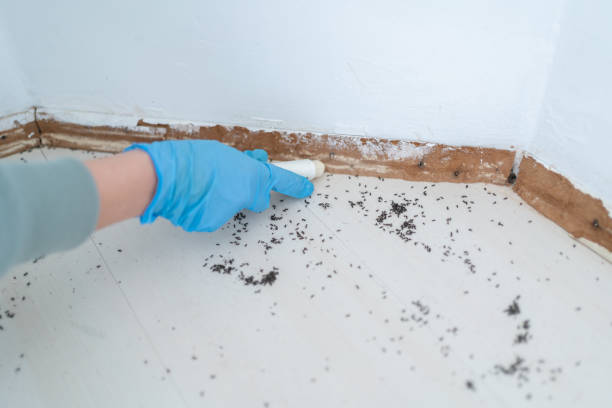 Best Pest Removal Services  in Sheffield, IA